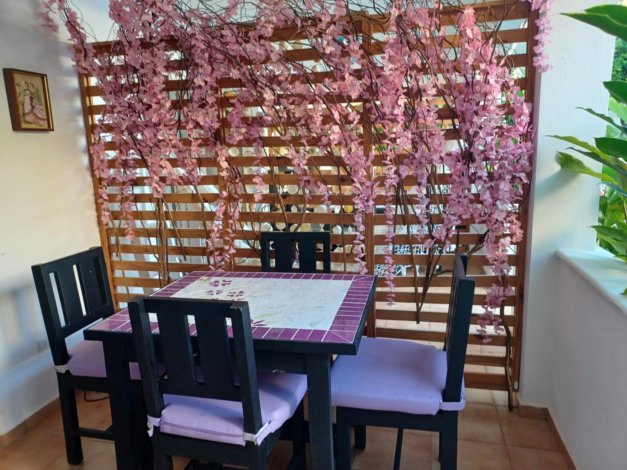 Dona Mayra Aparta Hotel Las Terrenas Cameră foto
